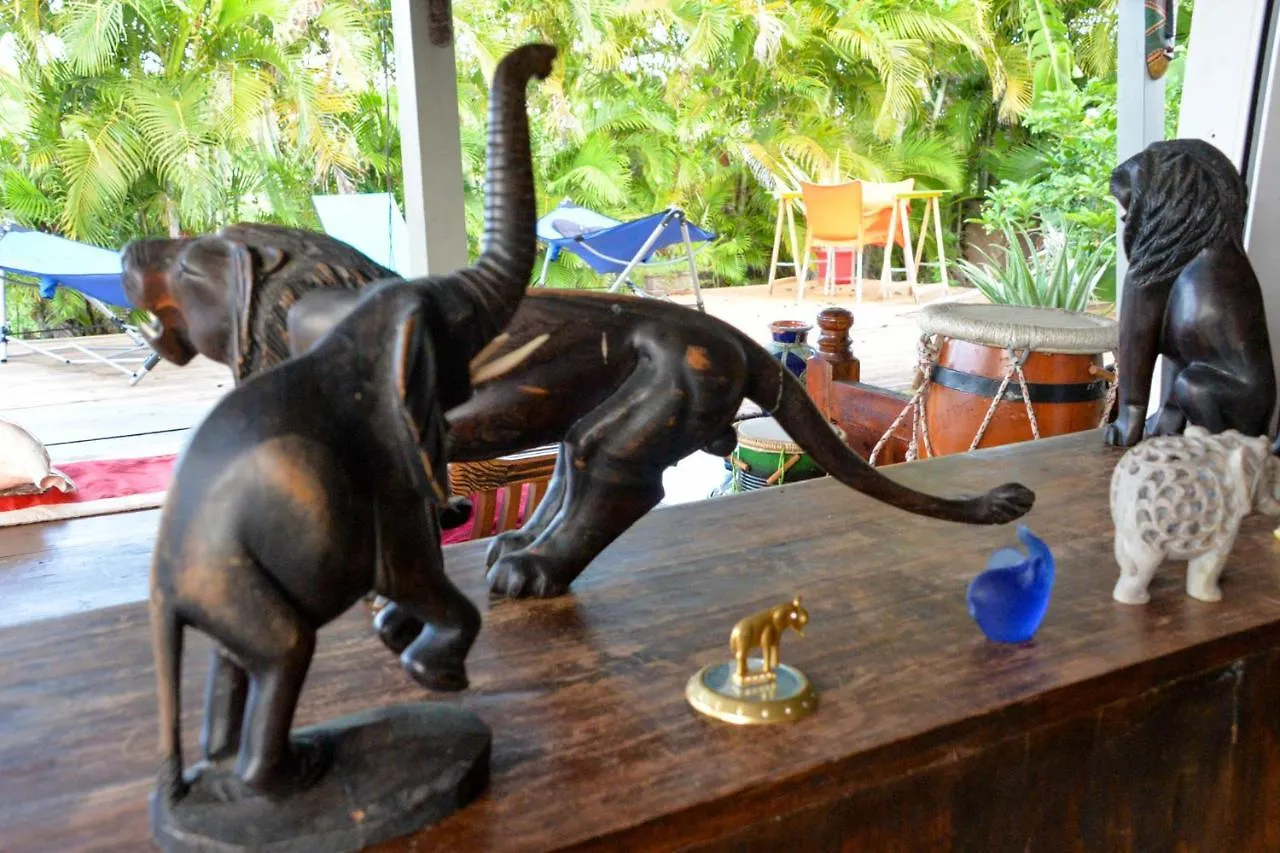 Homestay Adorable Maison Au Soleil Apartment Saint-Francois