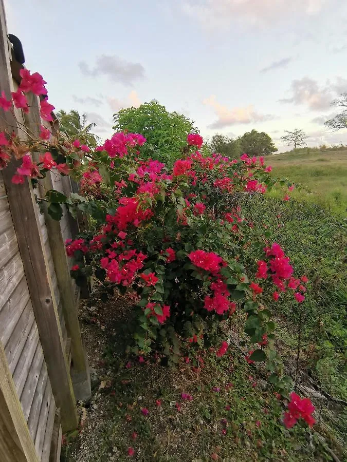 Apartamento Adorable Maison Au Soleil Saint-Francois  0*, Saint-Francois (Grande-Terre) Guadalupe